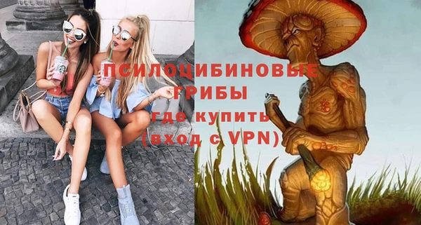 spice Алексеевка
