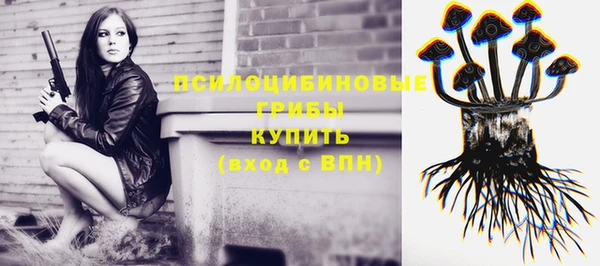 скорость Алексин